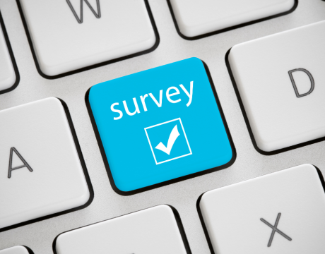 survey