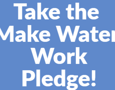 pledge