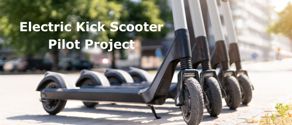 Electric Kick Scooter